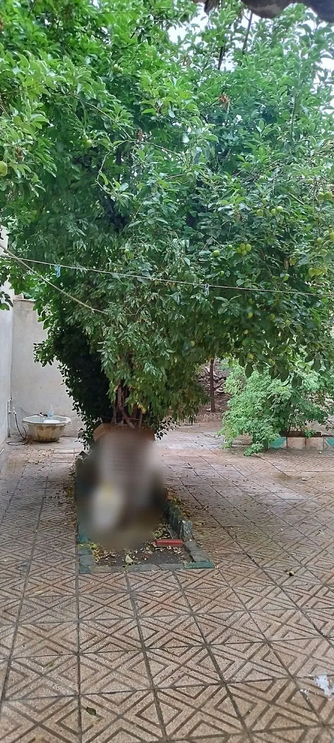 ویلایی شبیه باغ،حیاط ۱۱۰ متر،زیربنا ۱۸۰ متر۲ طبقه