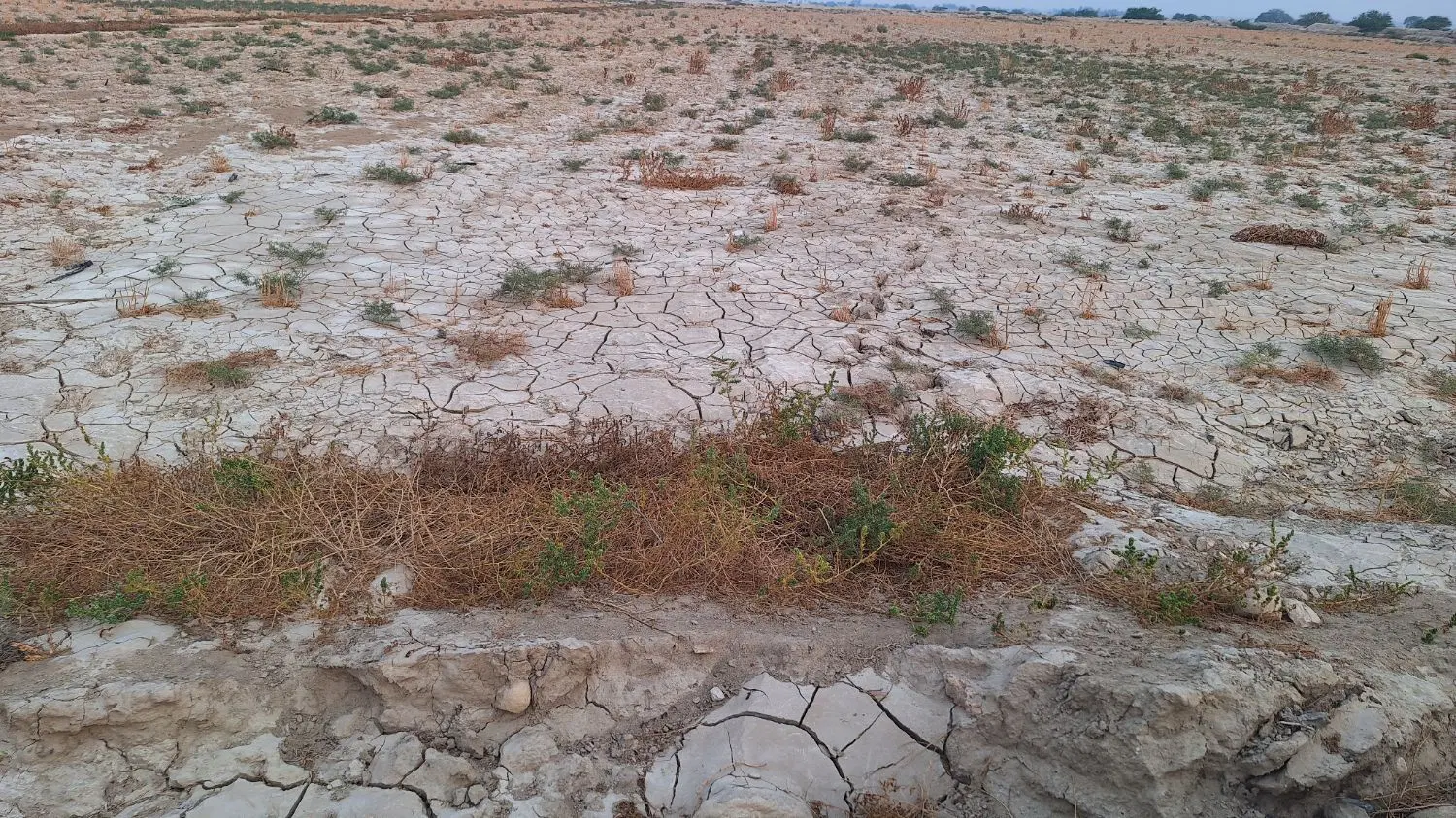 فروش زمین چاه حاج ابول