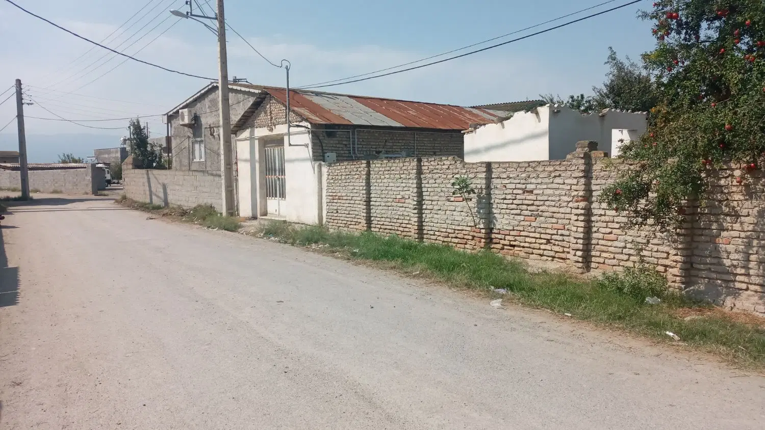زمین یموت