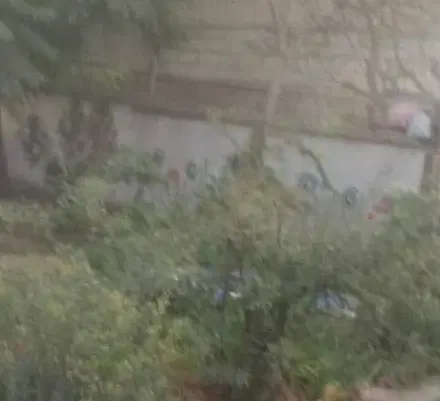 منزل دربست اجاره ای اقتصادی