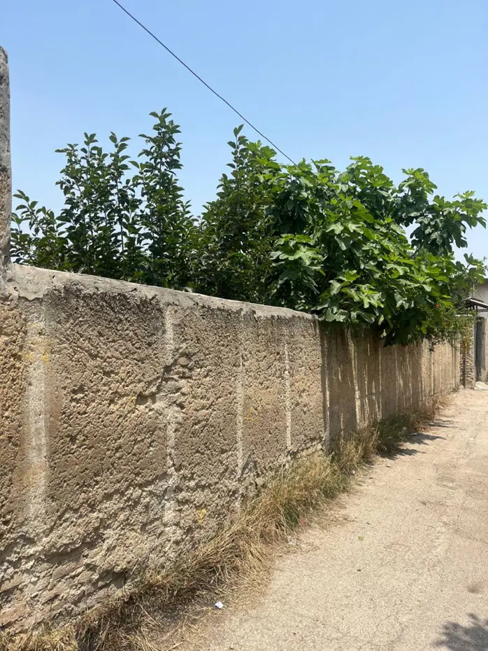زمین سند دار فوری