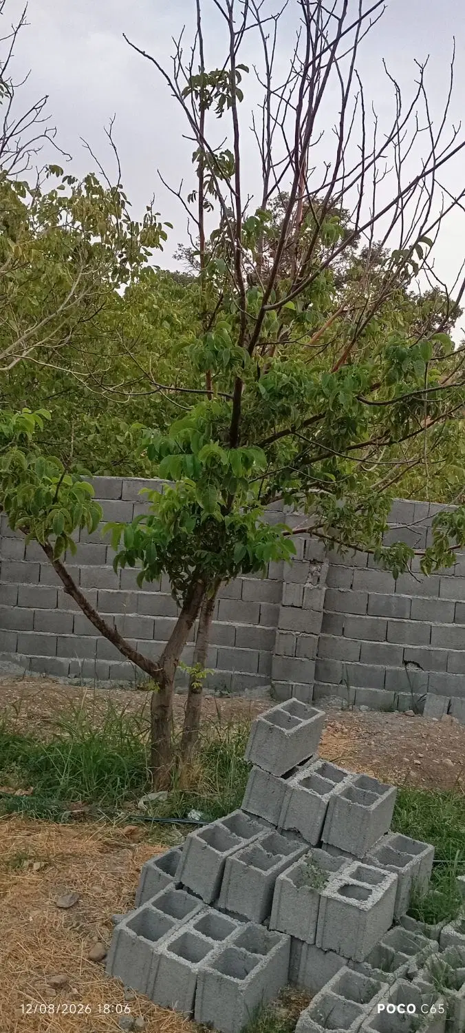 زمین مسکونی