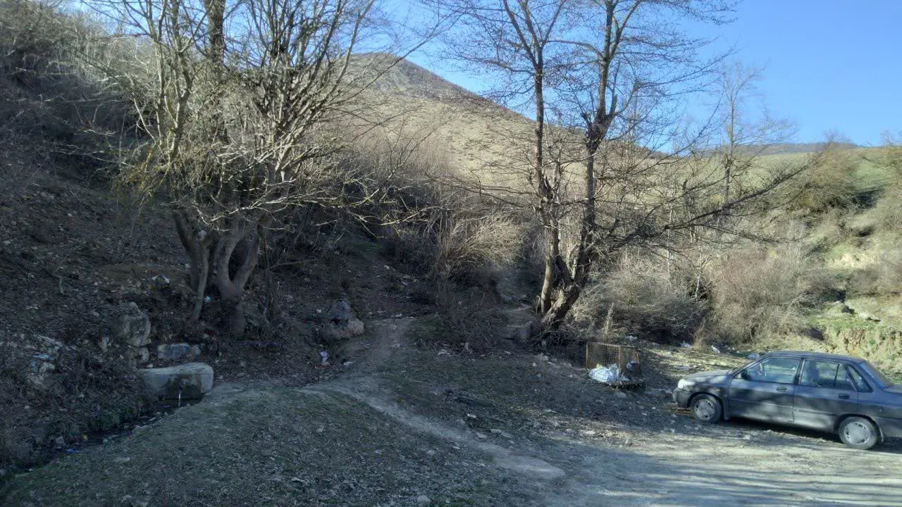 زمین در دلسم