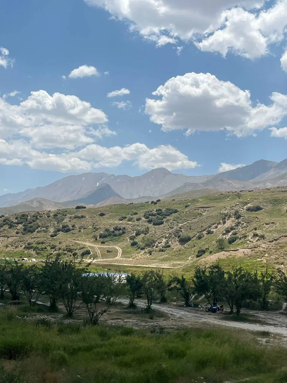 زمین مسکونی و تجاری