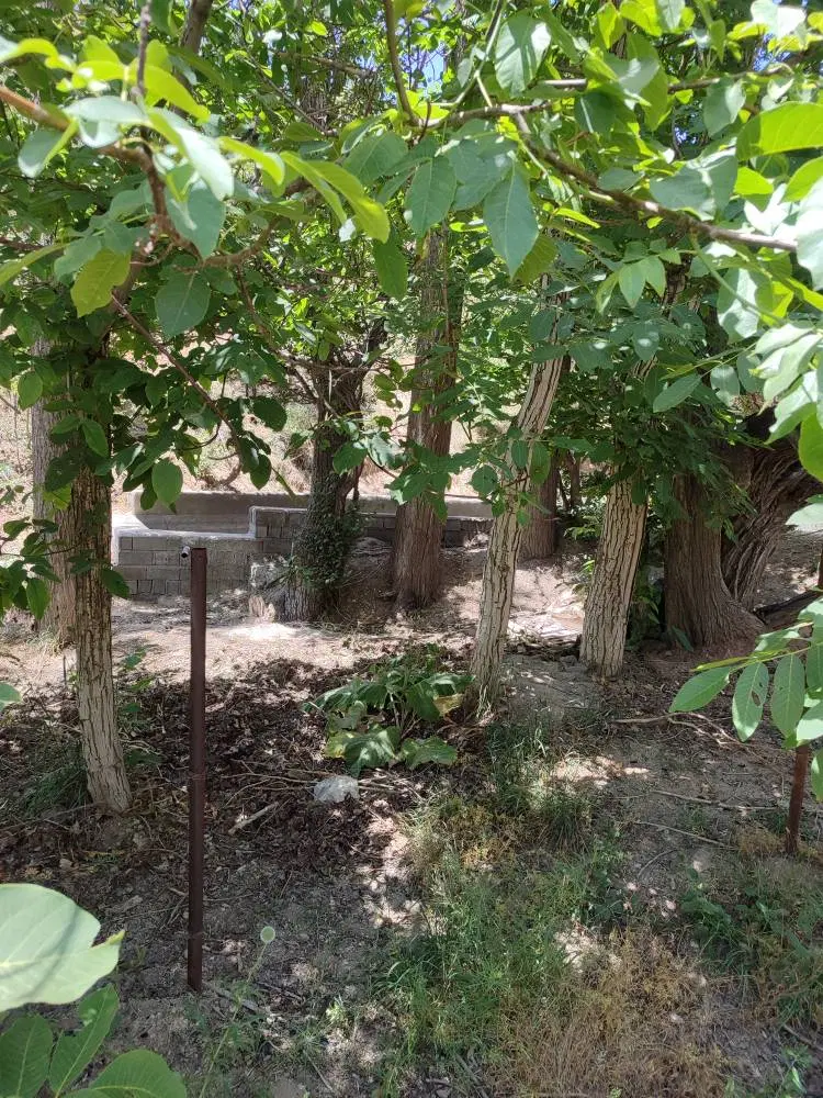 1000 متر لواسان کوچک سند تکبرگ