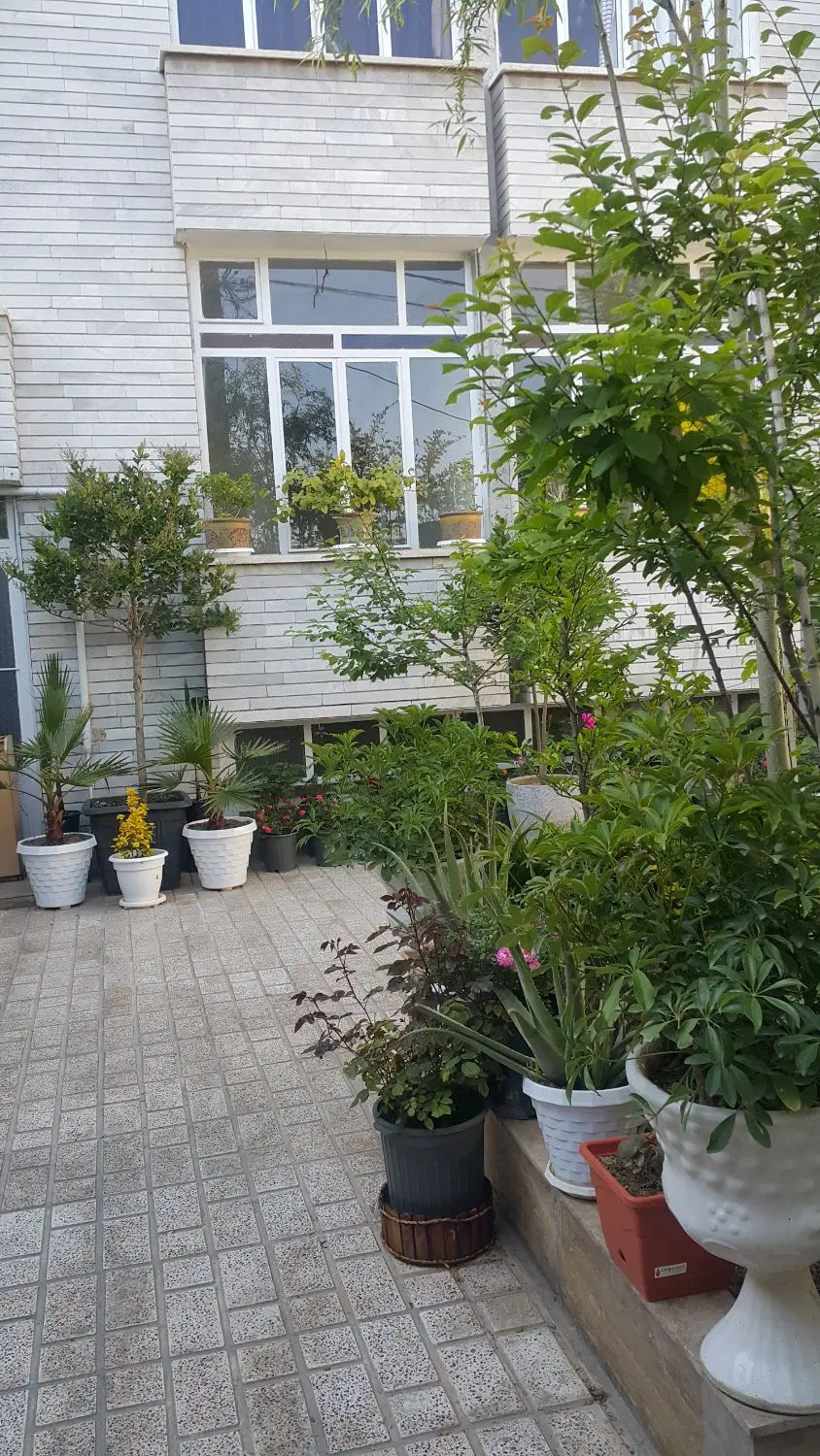 سوئیت ۵۵ متری سیمتری جی(تخلیه)