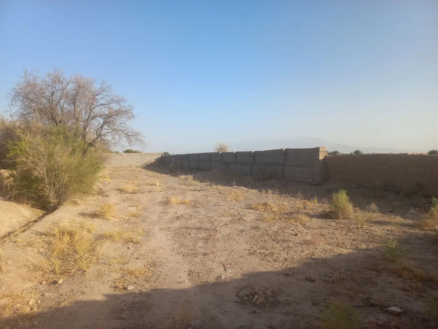زمین