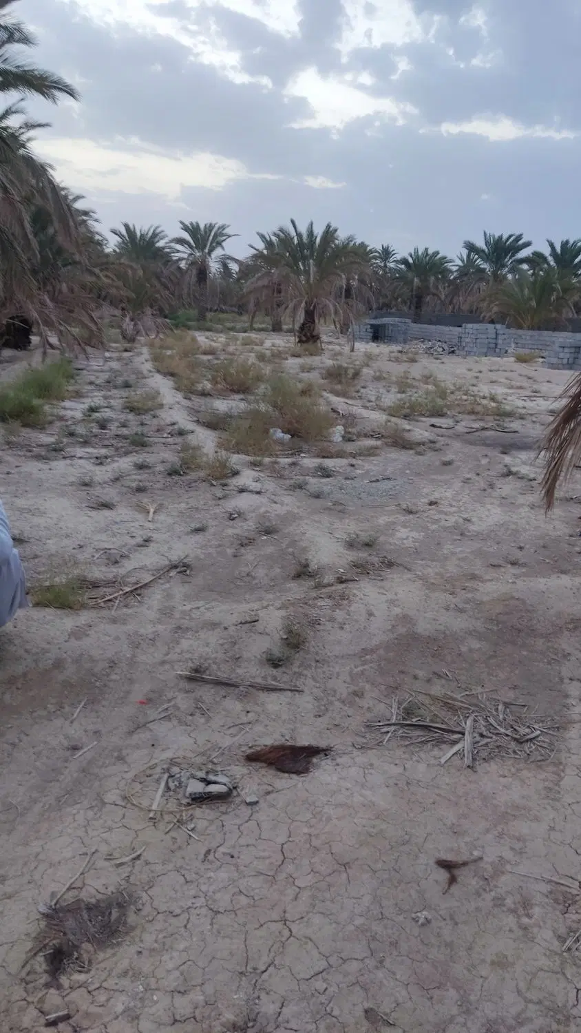 فروش زمین 320متری هوشک خیابان مسجد جامع هوشک