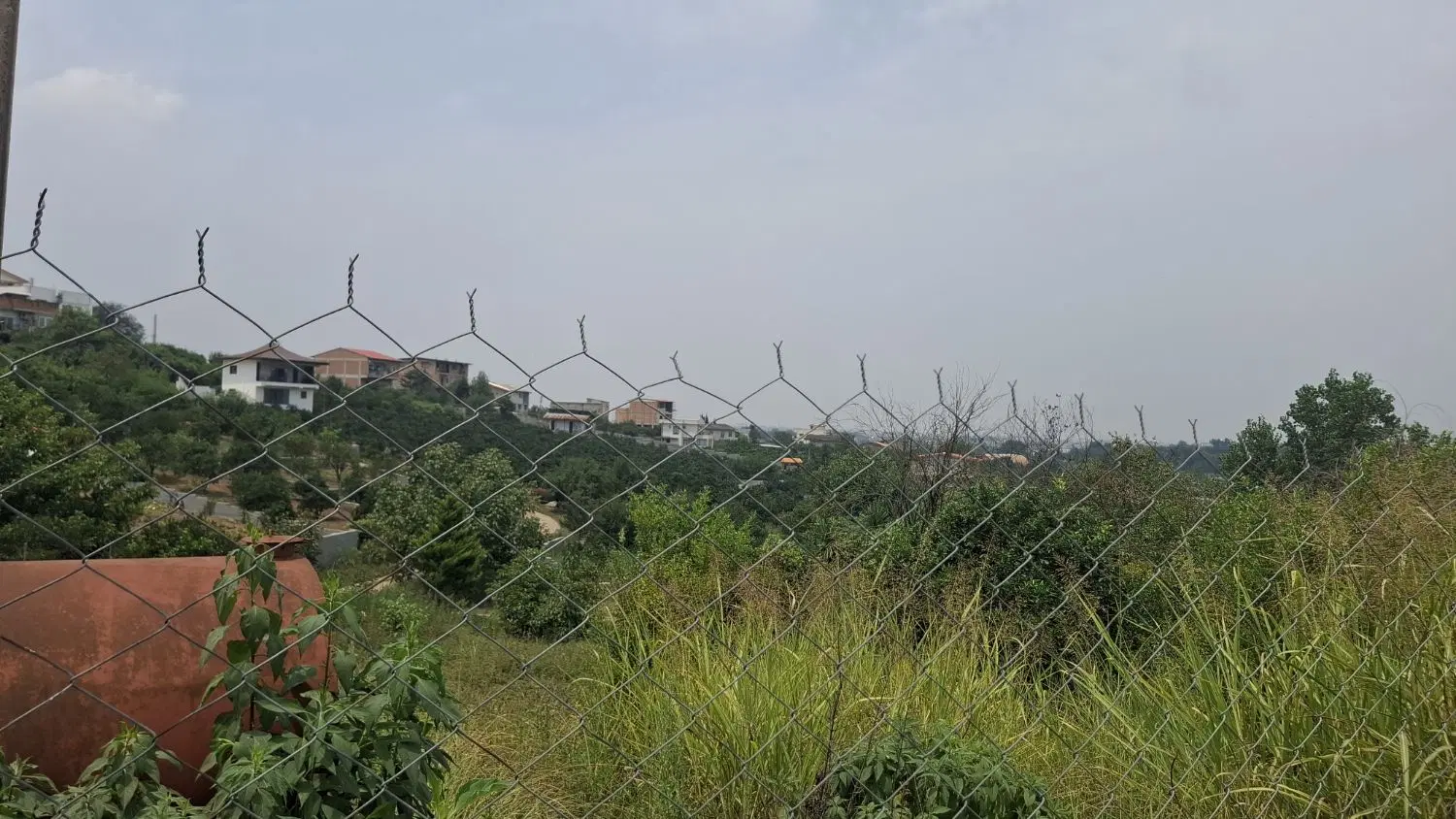 زمین کشاورزی