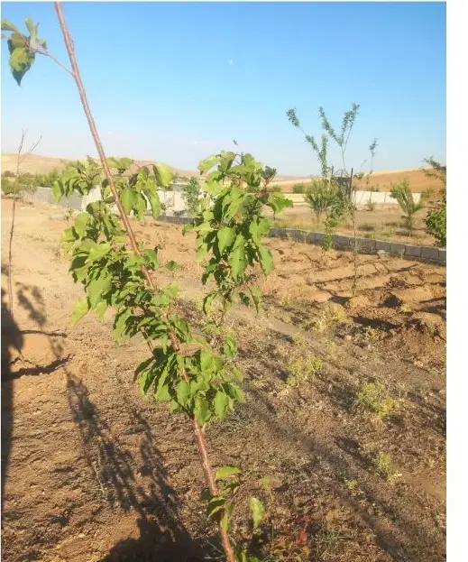 فروش