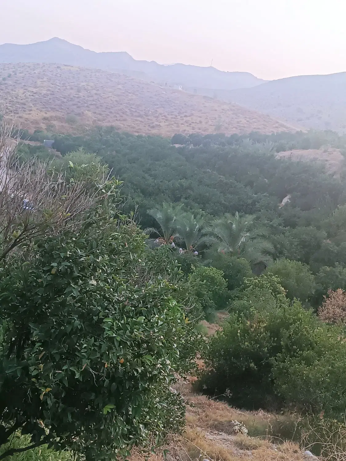 باغچه دهنو قلندری
