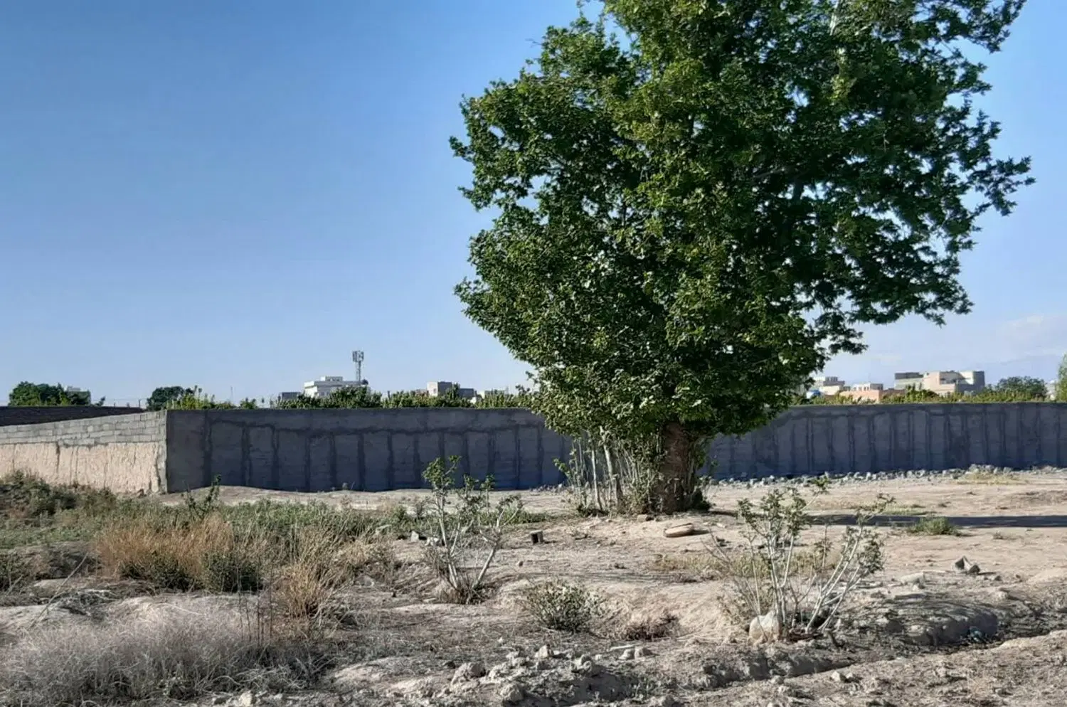 زمین باغی ۱۶۰۰ متر در رباط کریم(نزدیک بافت مسکونی)