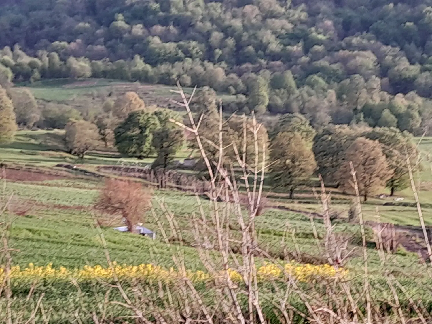 فروش زمین روستای نوچمن