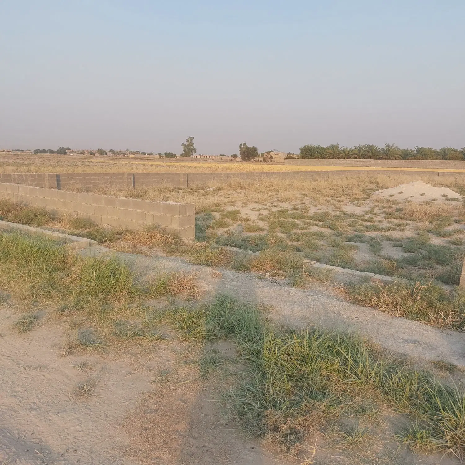 زمین برای باغ ۱۴۰۰ متر
