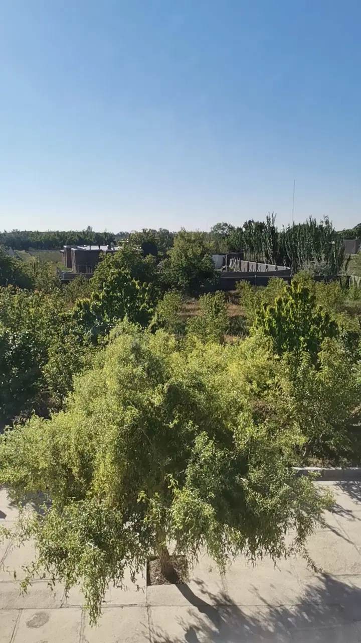 فروش زمین در امامزاده
