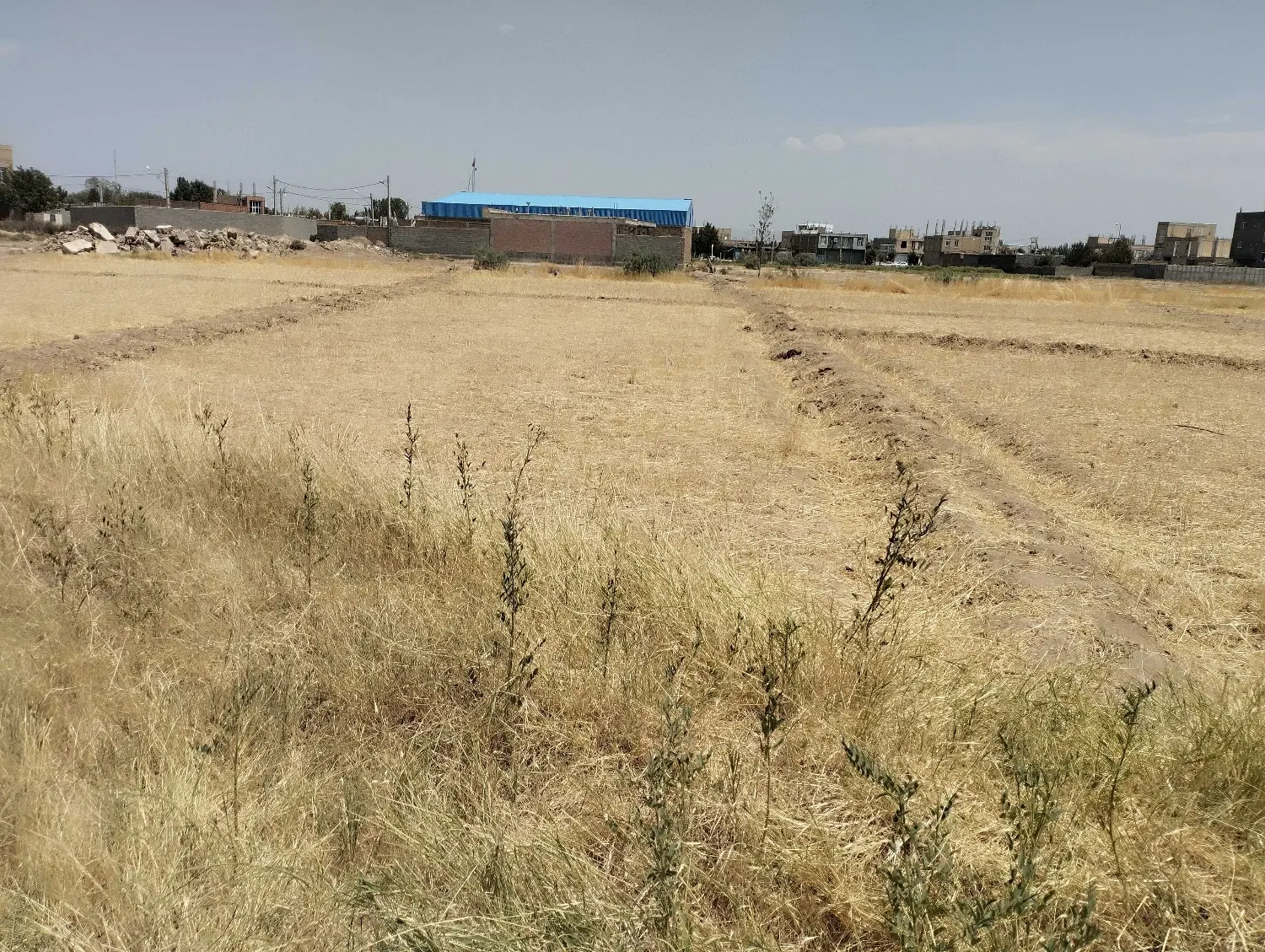 زمین مسکونی