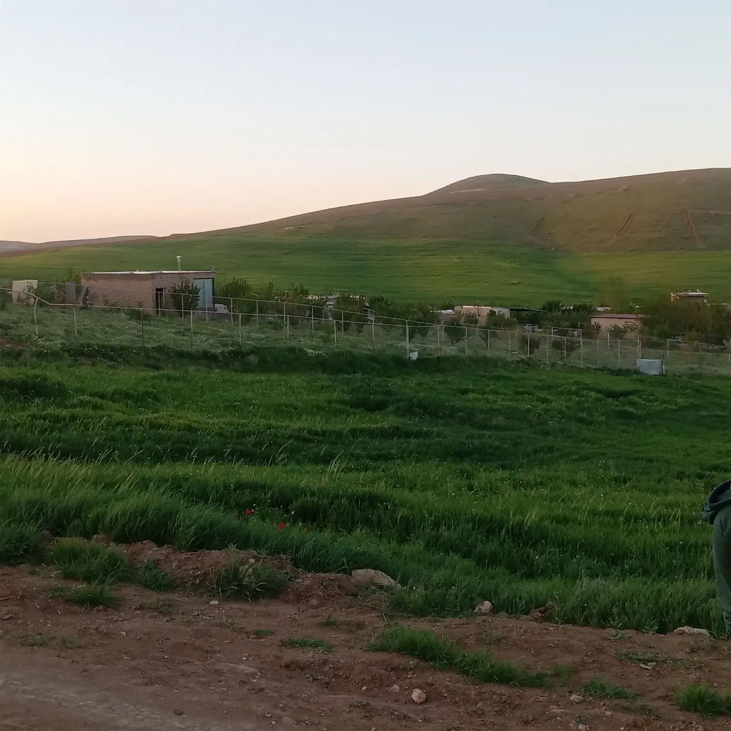 فروش زمین خام