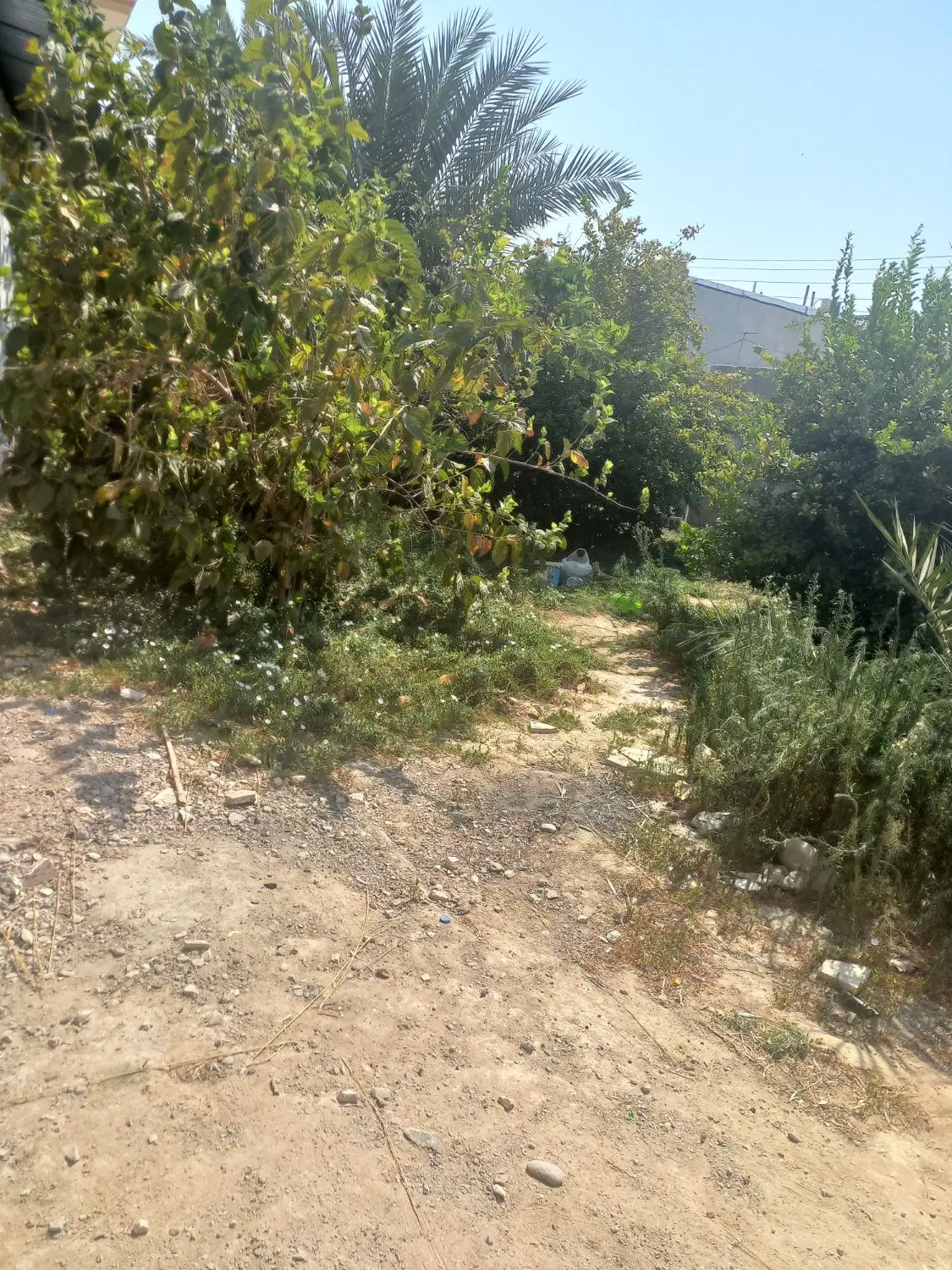 خونه باغ