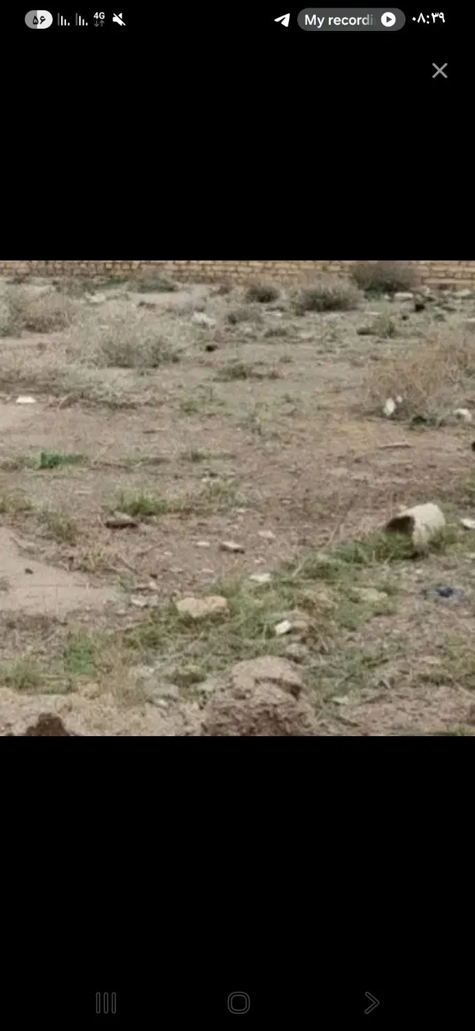 زمین فاز ۴