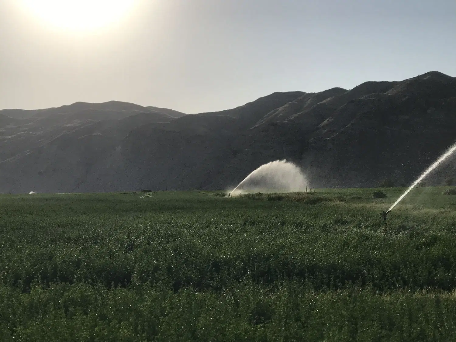 فروش زمین کشاورزی روستای خیراباد اب۲۴ساعته داعم