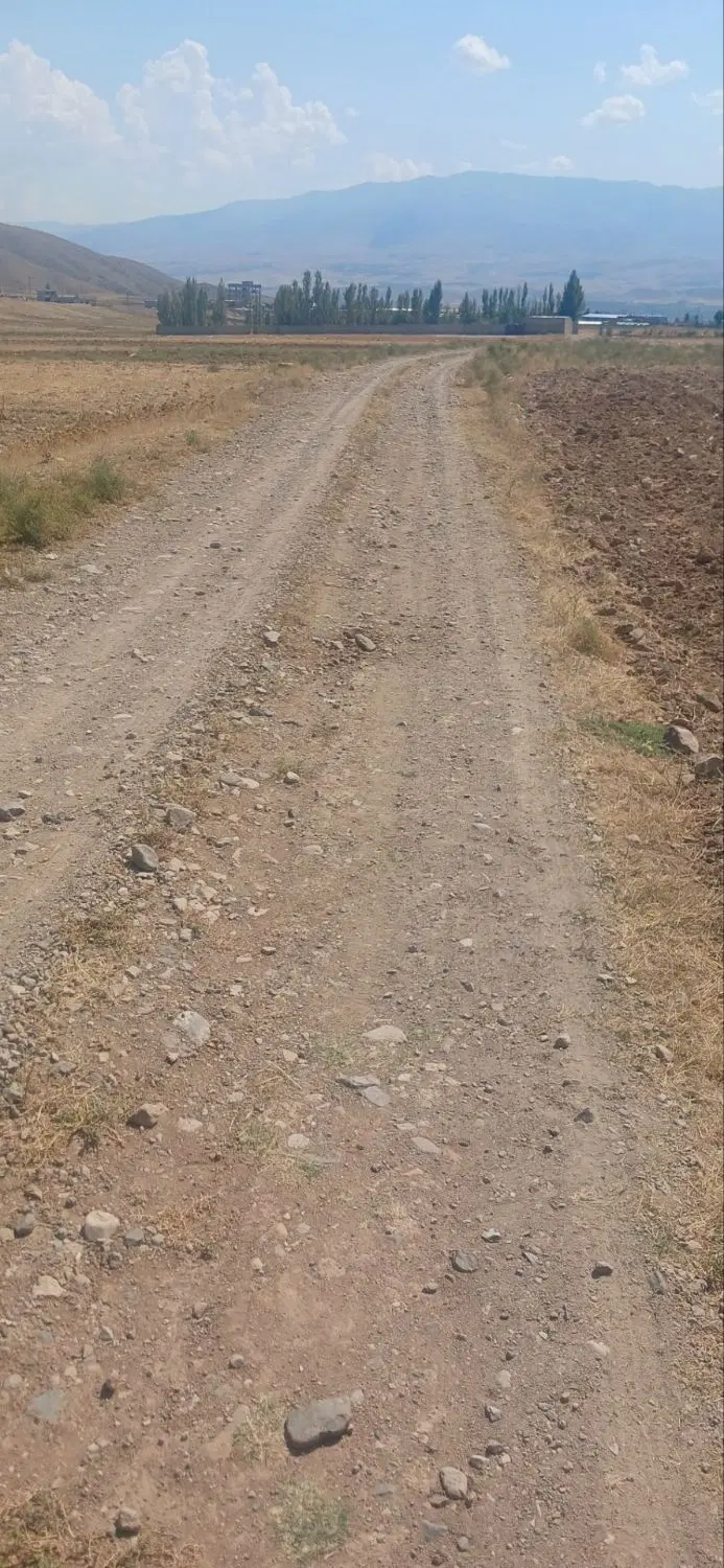 فروش یک قطعه زمین پسته بیگ