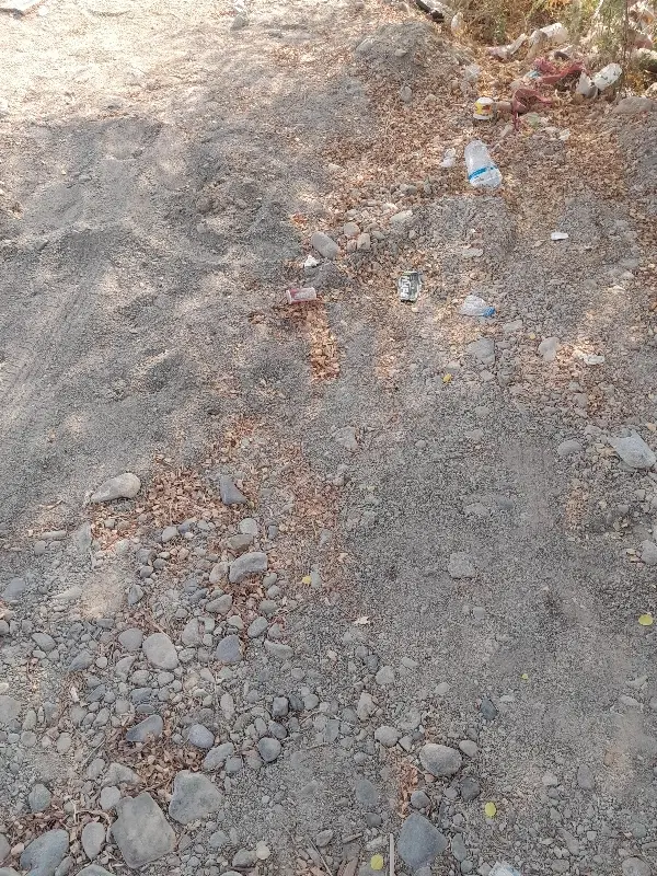 اجاره زمین برای کشاورزی وکشت