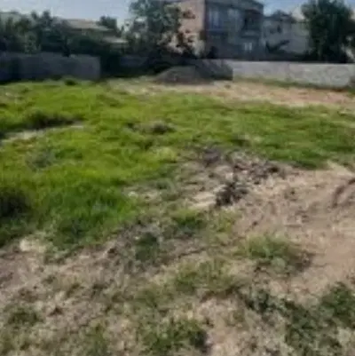 زمین کشاورزی