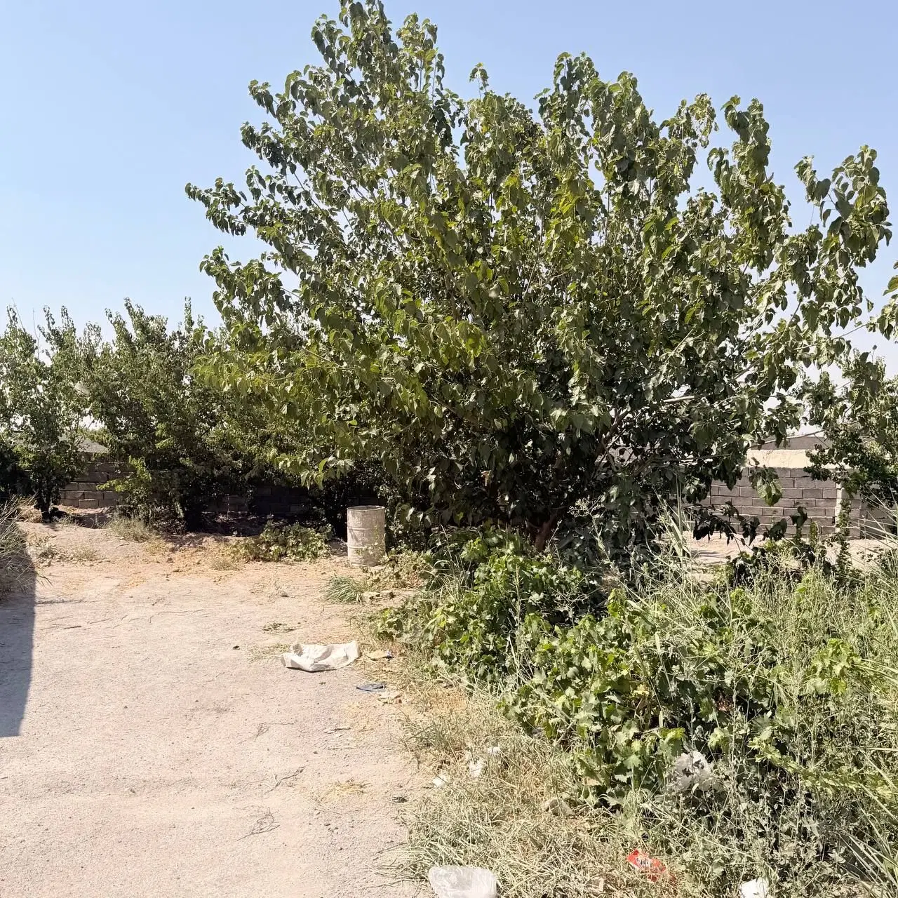 باغ باغچه قطعات ۲۳۰ متری به بالا