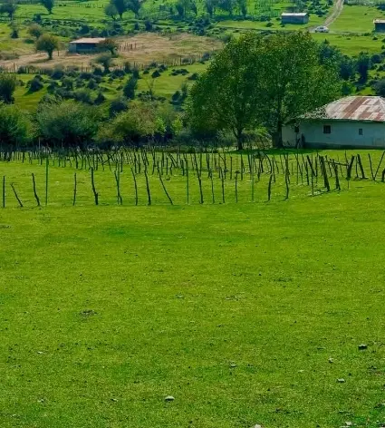 ۷هزار متر زمین مسکونی در جاده ماسال فروشنده هستم