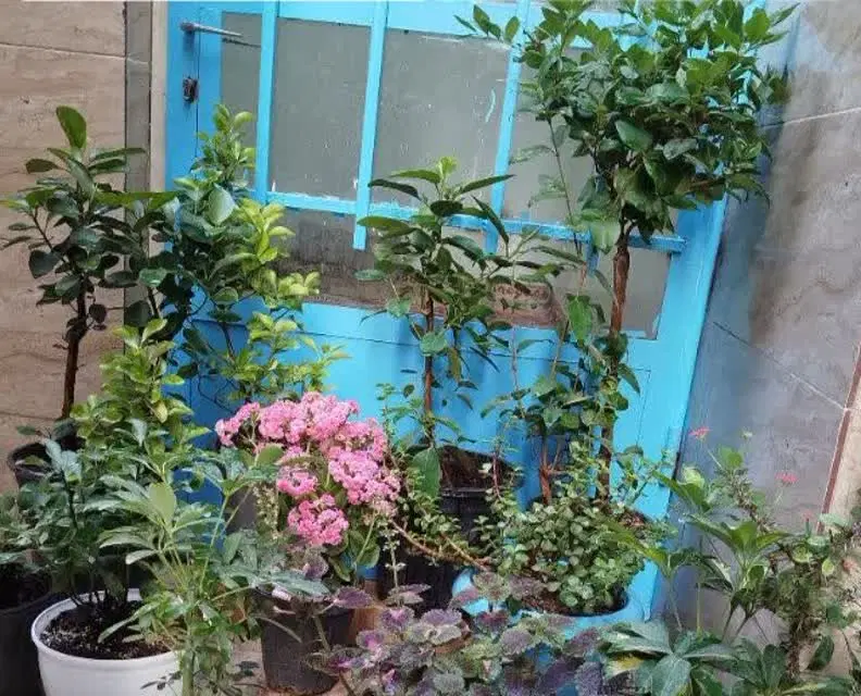 اجاره ۶۰ متر خانه دربست پشت قواره سروستان