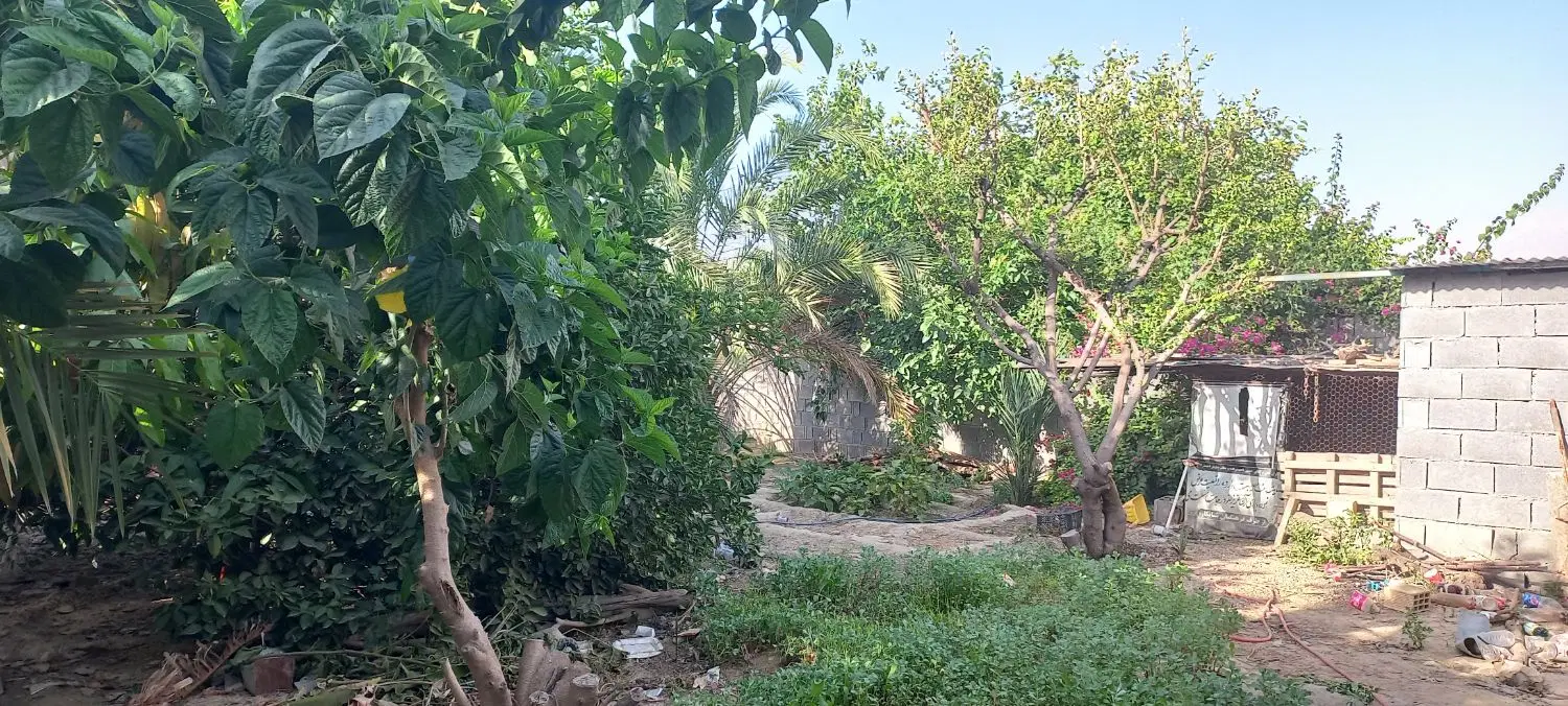فروش باغ شهری ۳۰۰متری دردهقاید