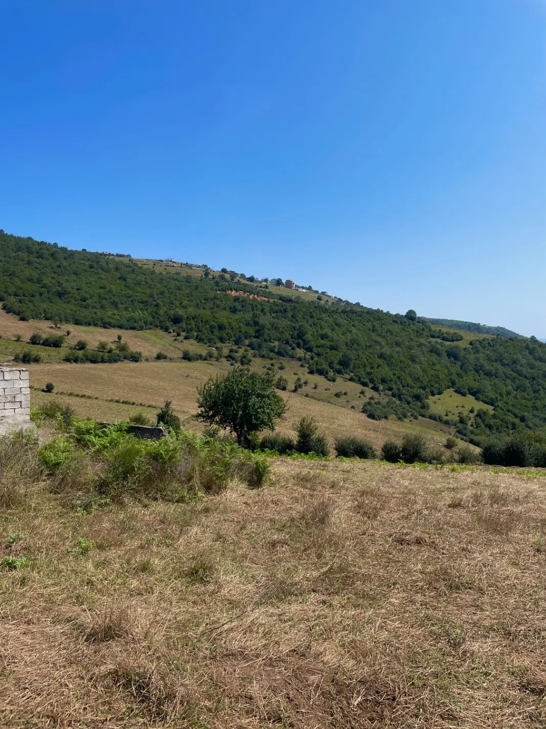 26000مترزمین واقع در دودانگه روستای تلاوک
