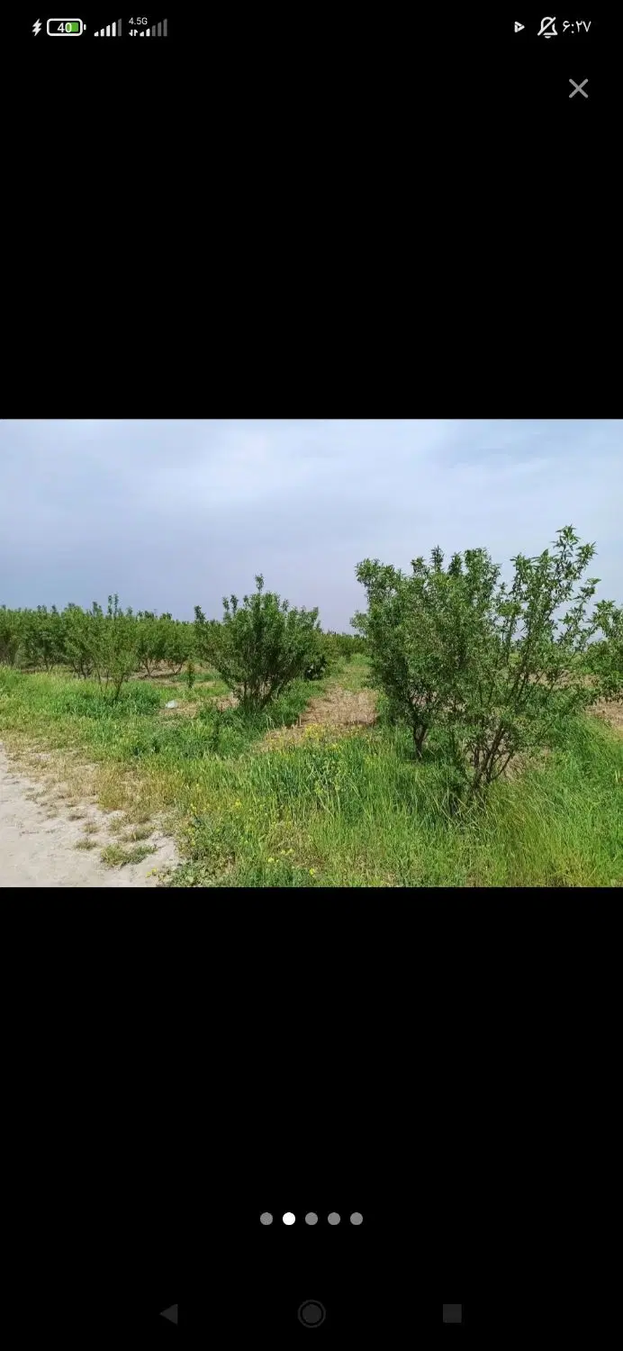 باغ 1370متری سراب خشکه