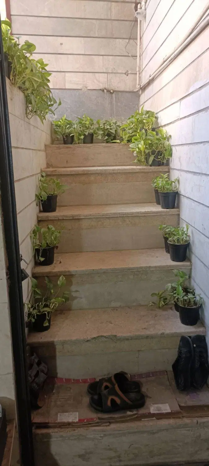نیم طبقه 35 متری در مسعودیه