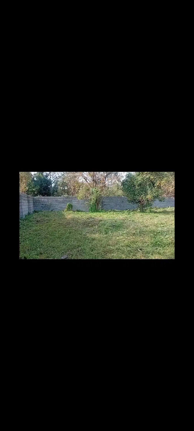 فروش زمین مسکونی شاندرمن ماسال