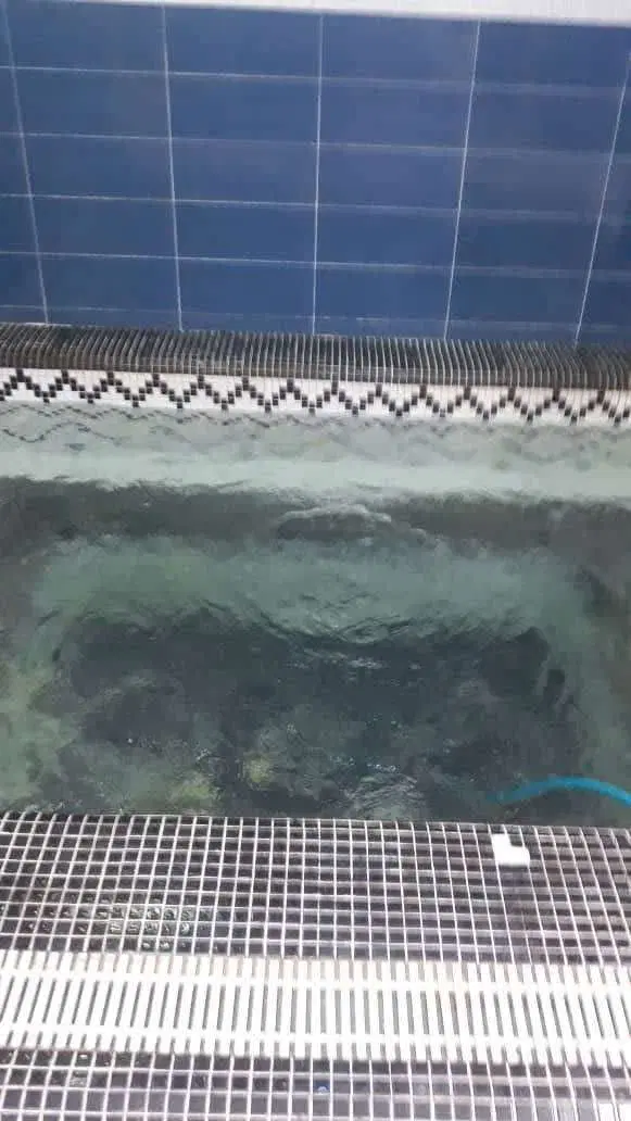 اجاره دربست ملک ویلایی