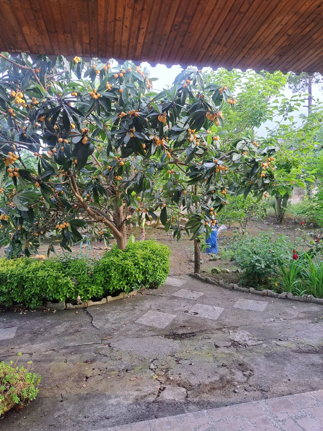 خانه ویلایی شهرک چوکا