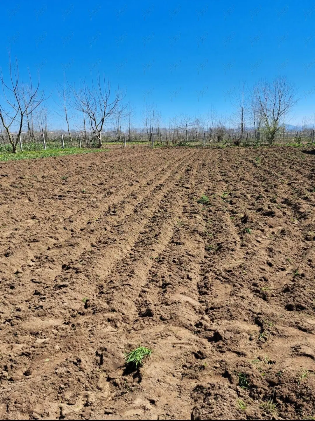 زمین باغی ، ۱۰۰۰ متر ،