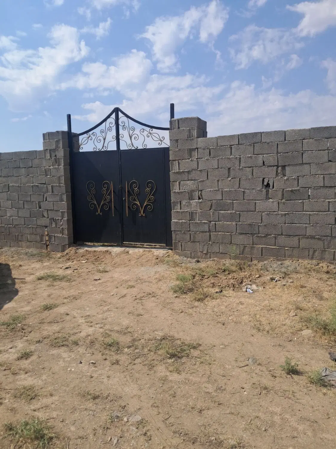 باغ پسته