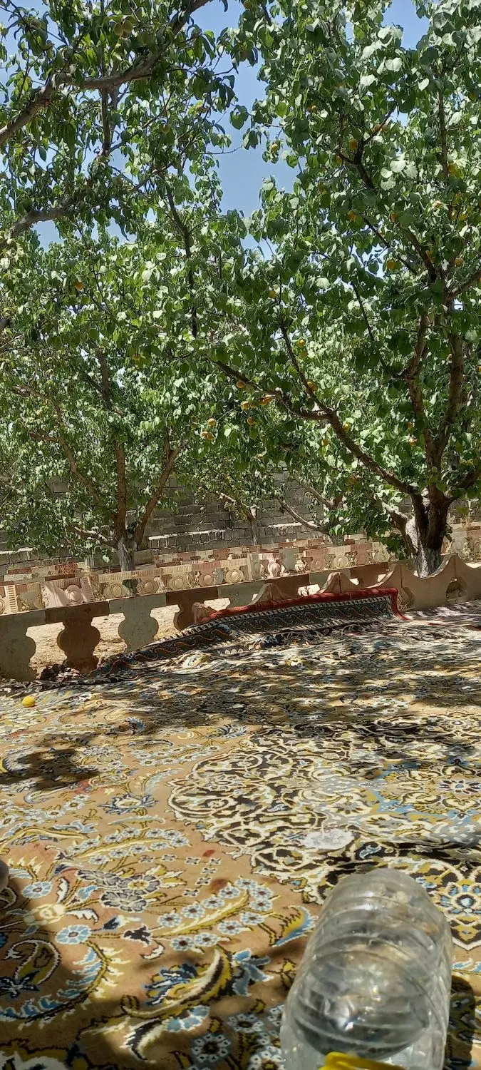 باغ فروشی