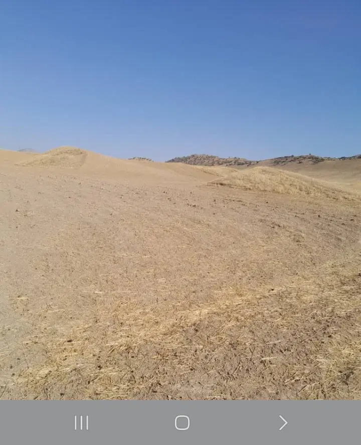 زمین کشاورزی
