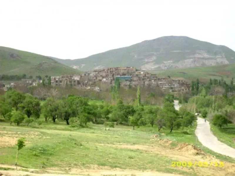 1200 متر زمین دیوارکشی دارای حدود 80 درخت چندساله
