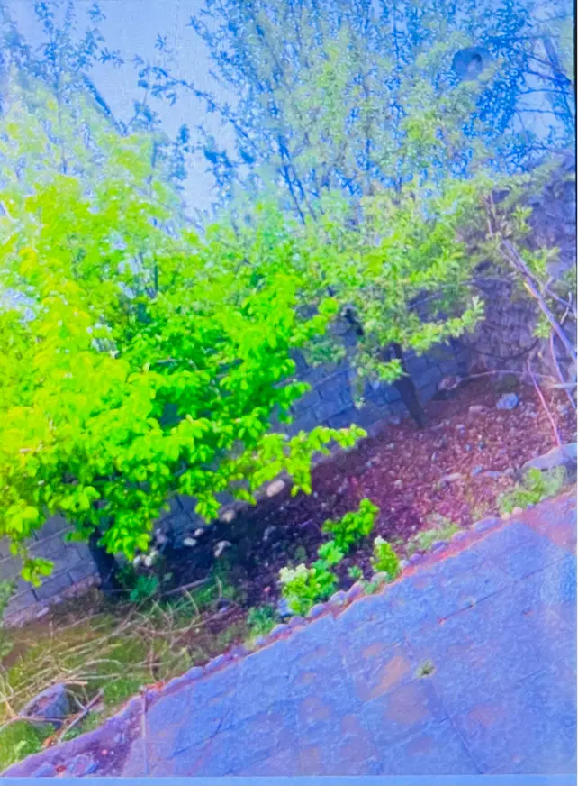 فروش خونه باغ