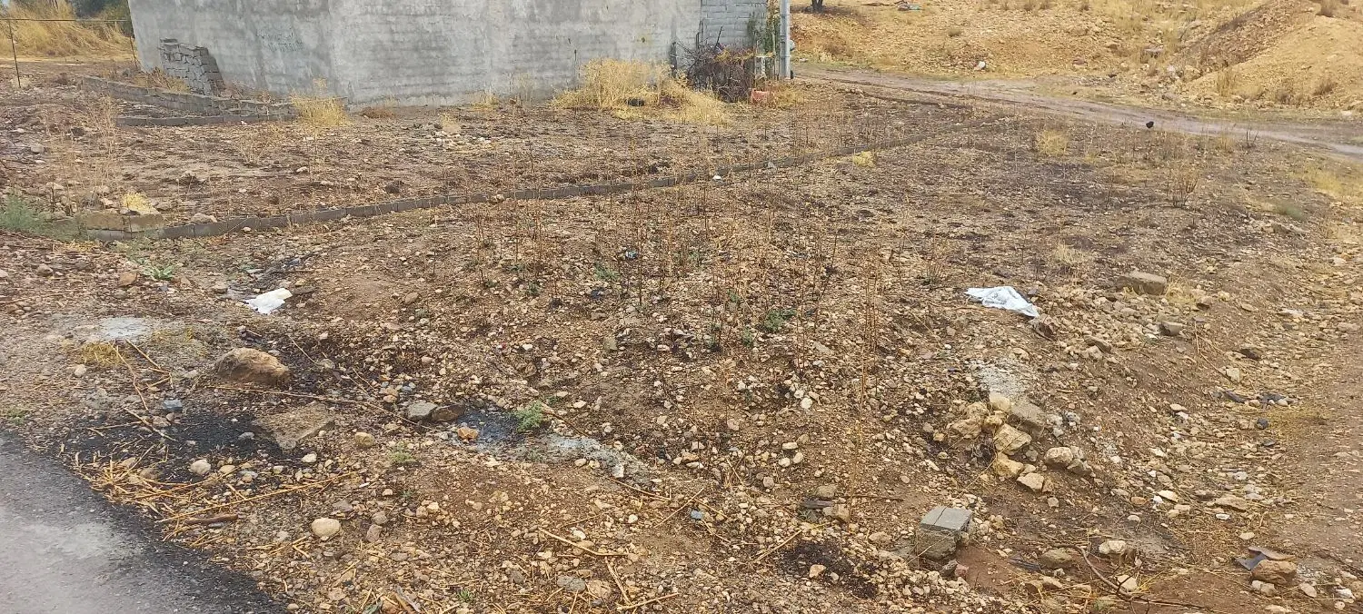 ۳۰۰ متر زمین مسکونی سروک