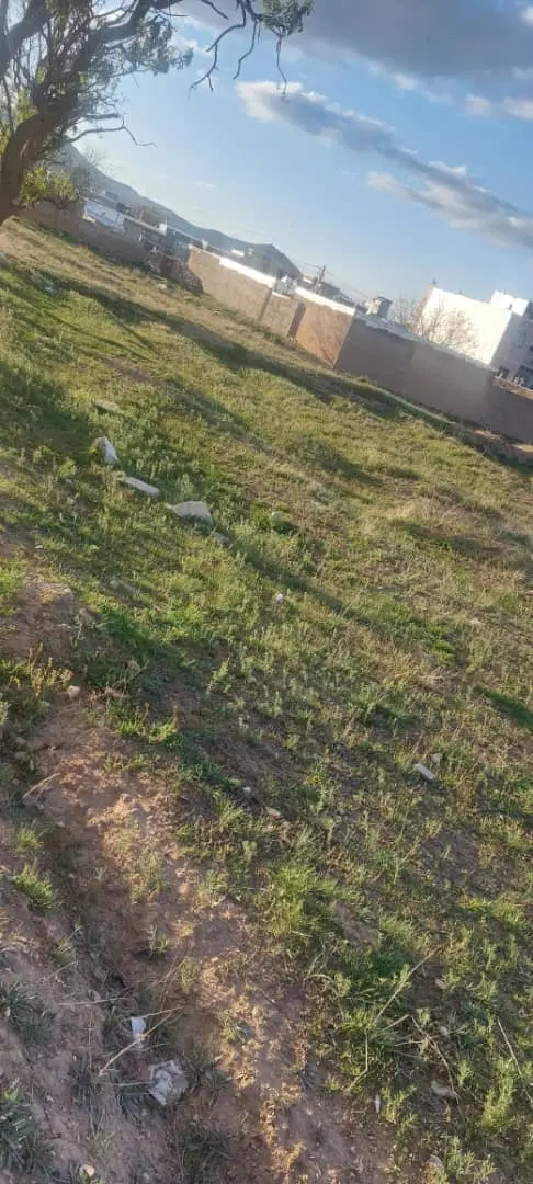 زمین ۱۳۵ متر محدوده