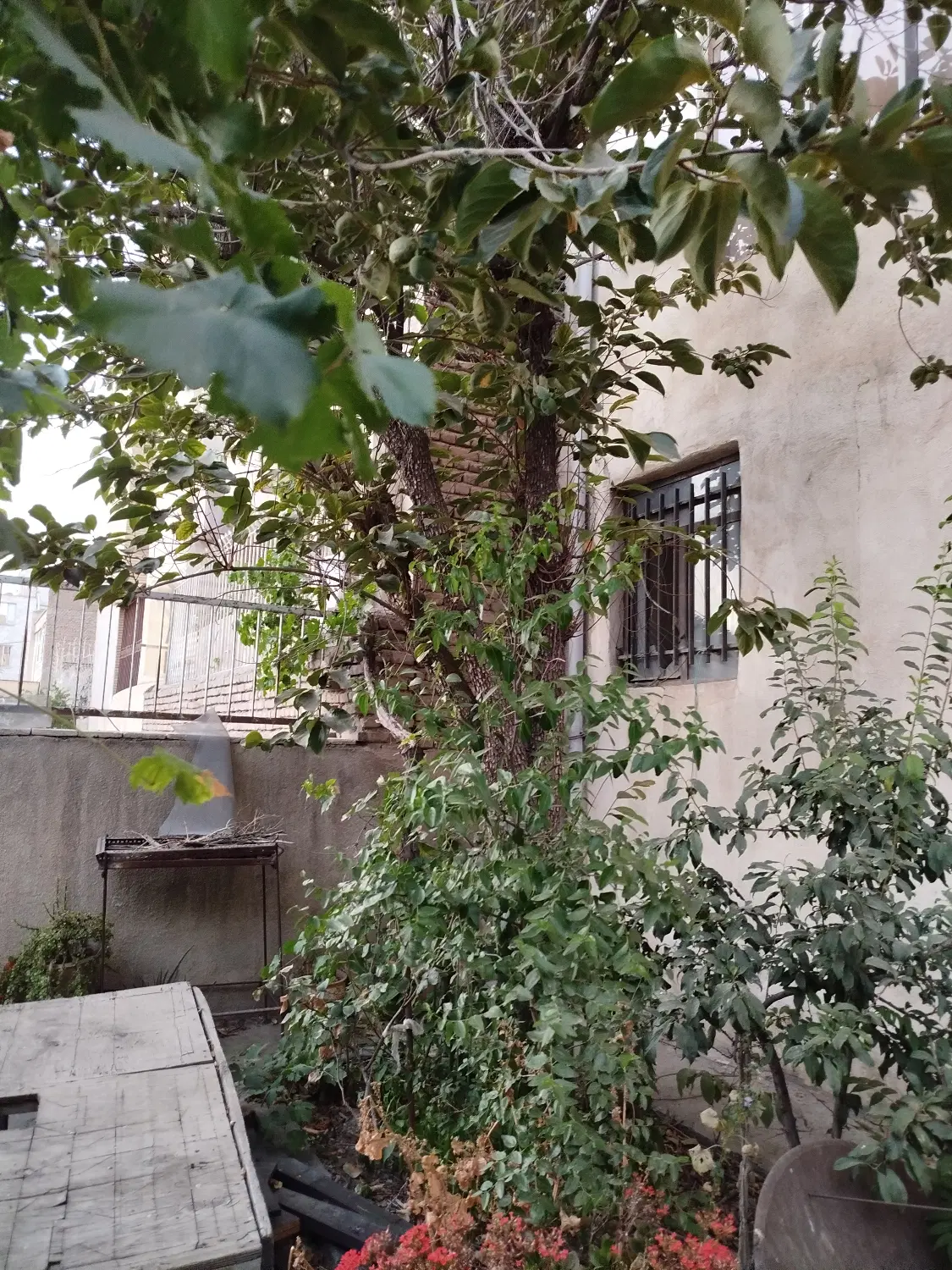 فروش ملک ویلایی