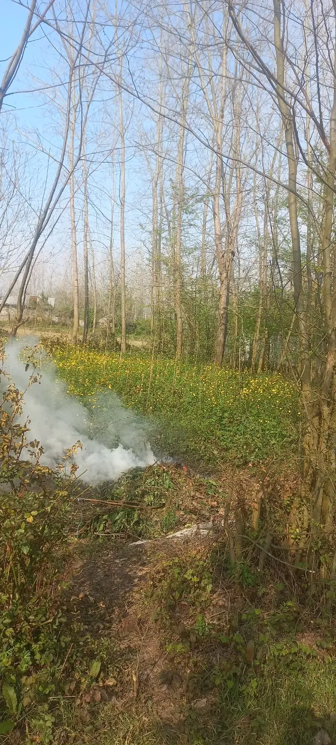 ۴۲۰ متر زمین باغی در ویشکاننک