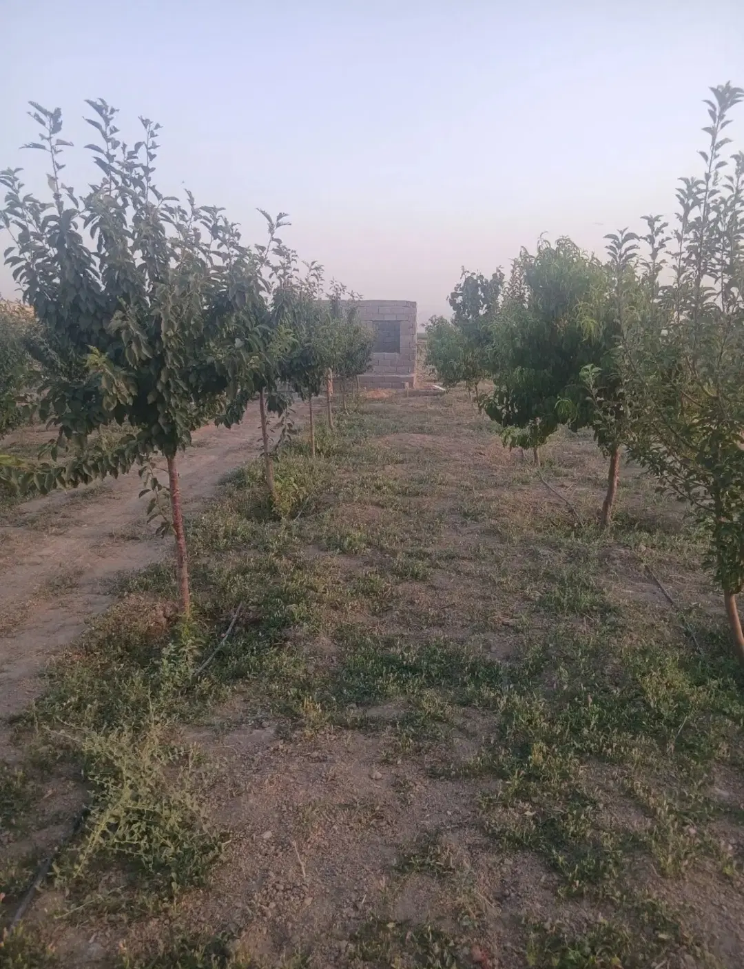 فرصت عالی و محدود  سرمایه گذاری