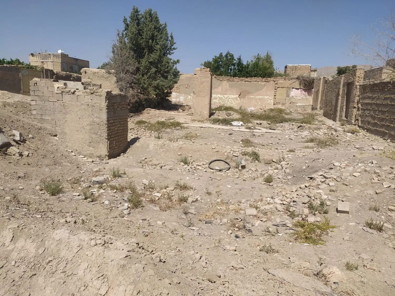 زمین