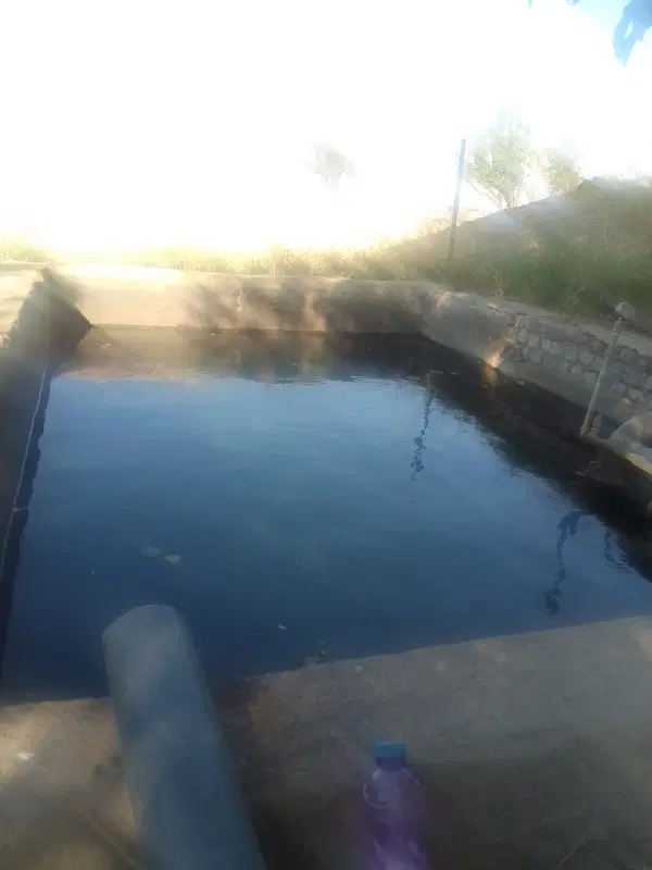 اجاره زمین کشاورزی